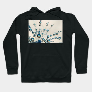 Micro Dandy Drops Hoodie